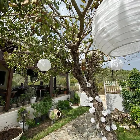 Mistral Boutique Guest house